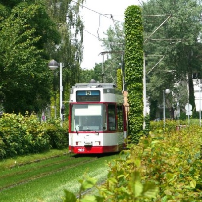 Straßenbahn auf Rasengleis